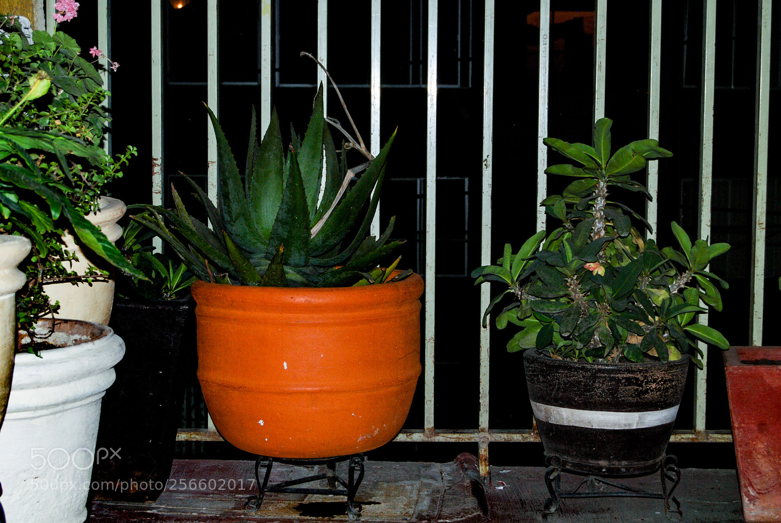 Nikon D40X sample photo. Four photography
