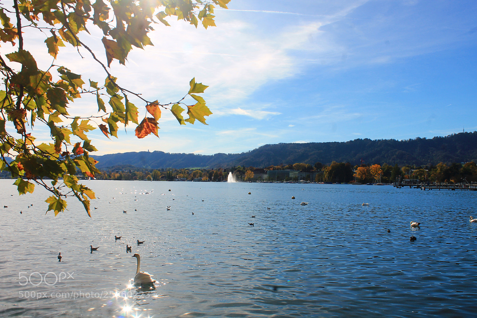 Canon EOS 1100D (EOS Rebel T3 / EOS Kiss X50) sample photo. Lake zurich shore, bellevue photography
