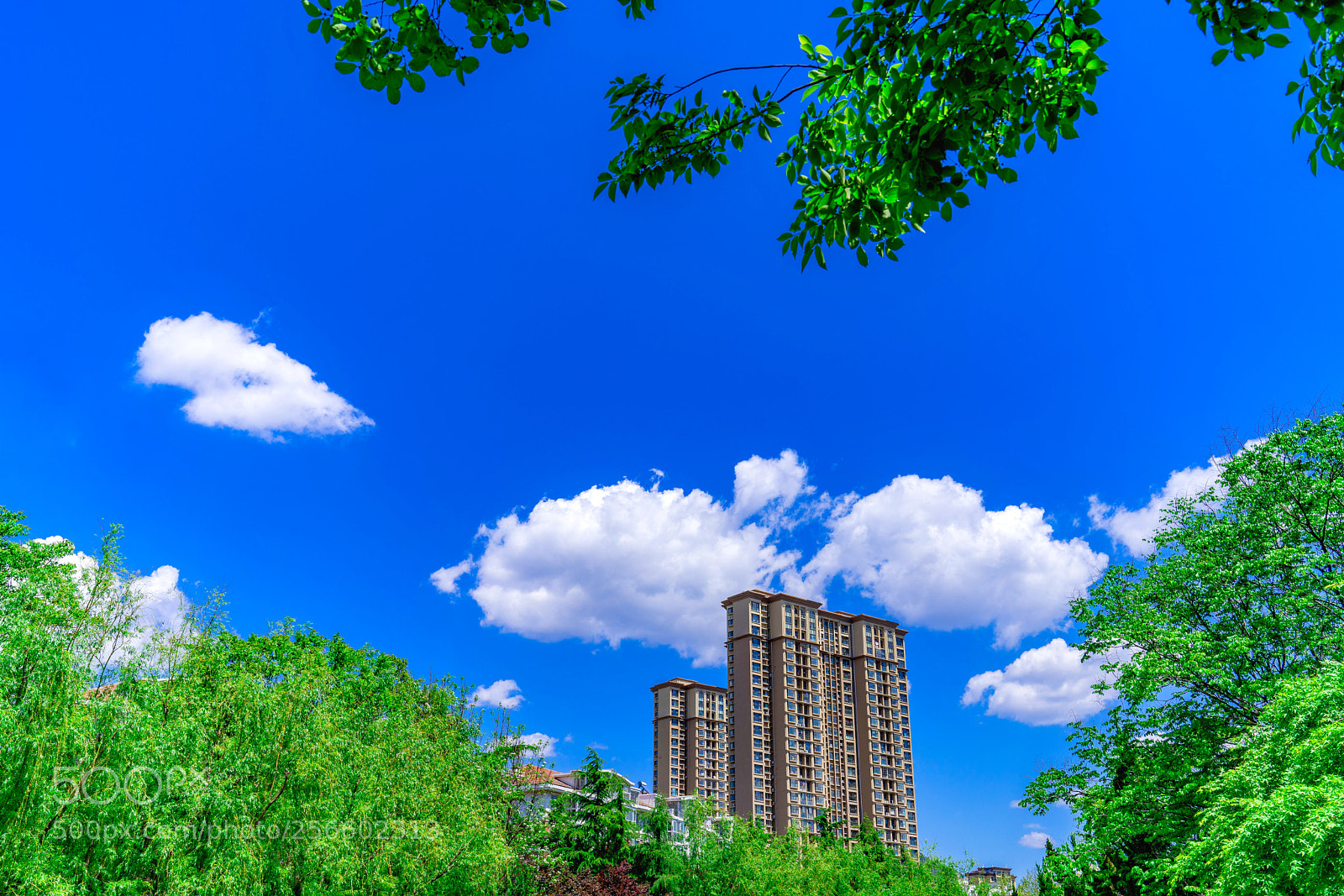 Sony a7R II sample photo. Untitled photography