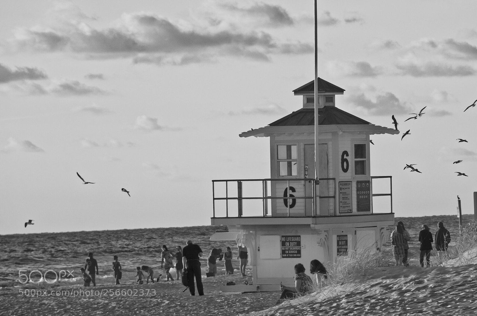 Nikon D7100 sample photo. Untitled photography