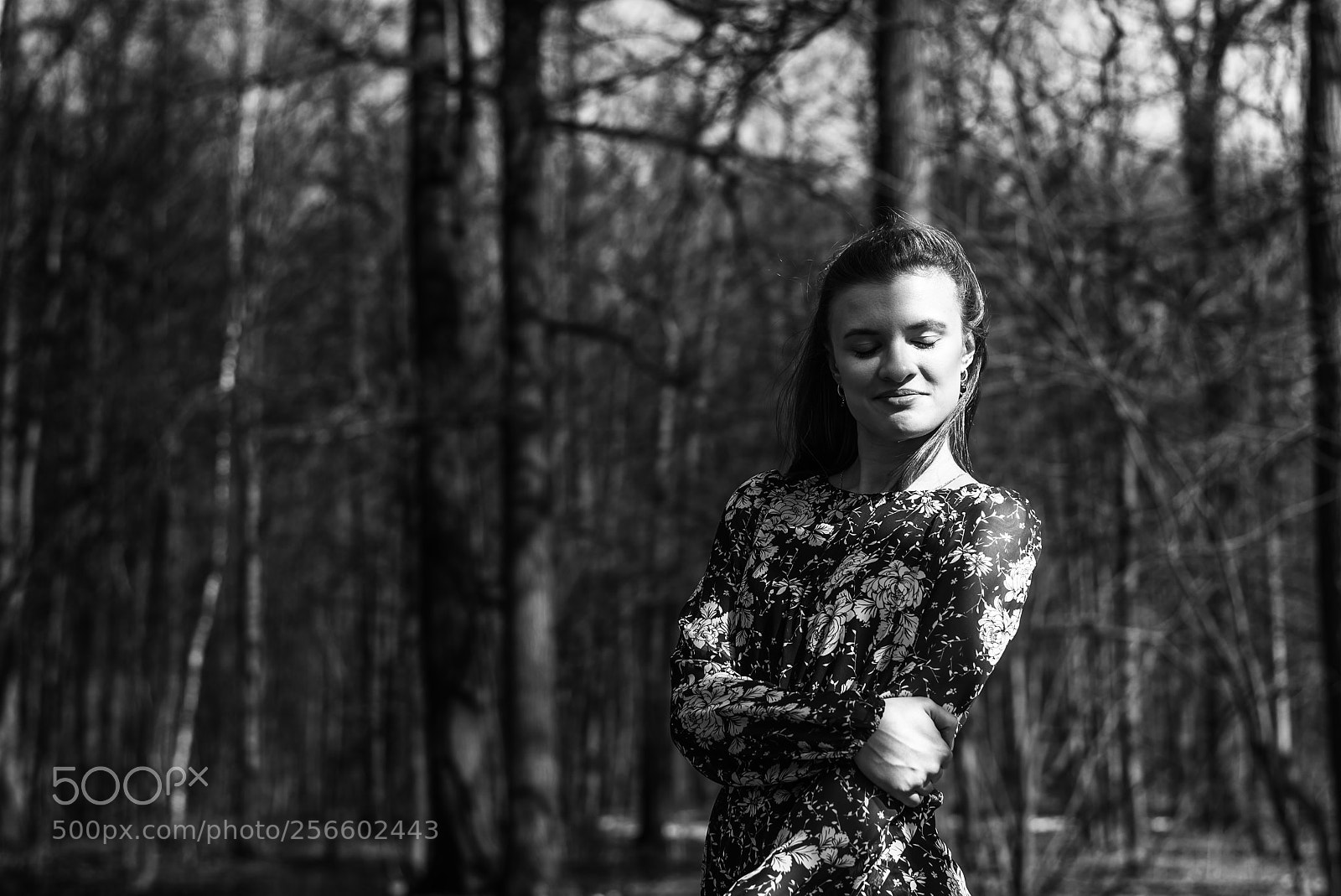 Nikon D750 sample photo. Light and shadow photography