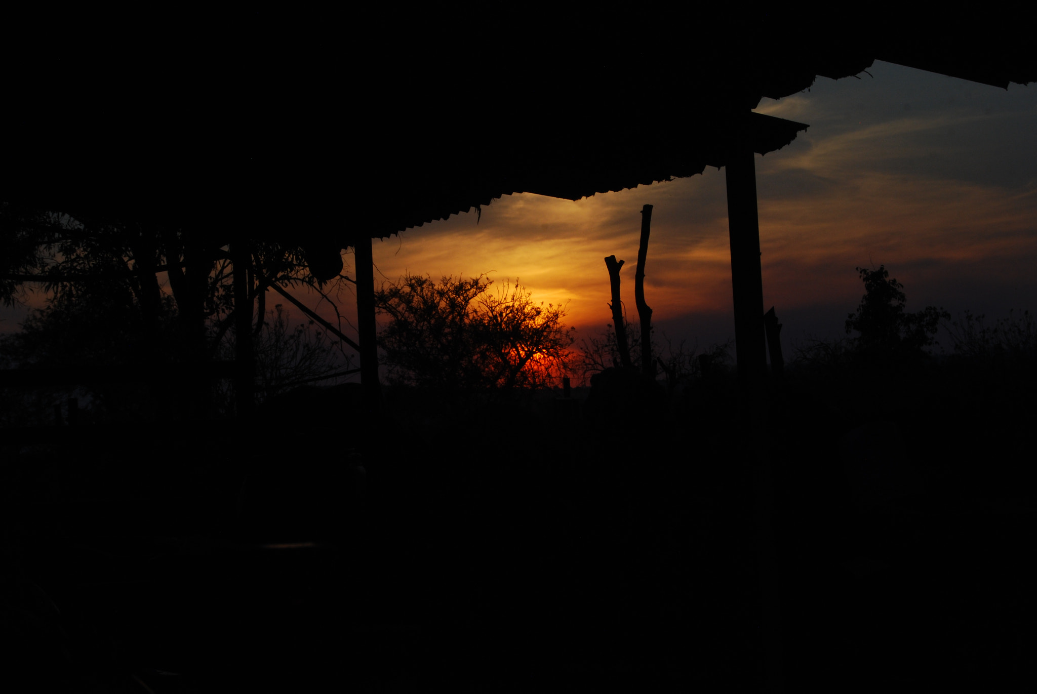 Nikon D40X sample photo. Look photography