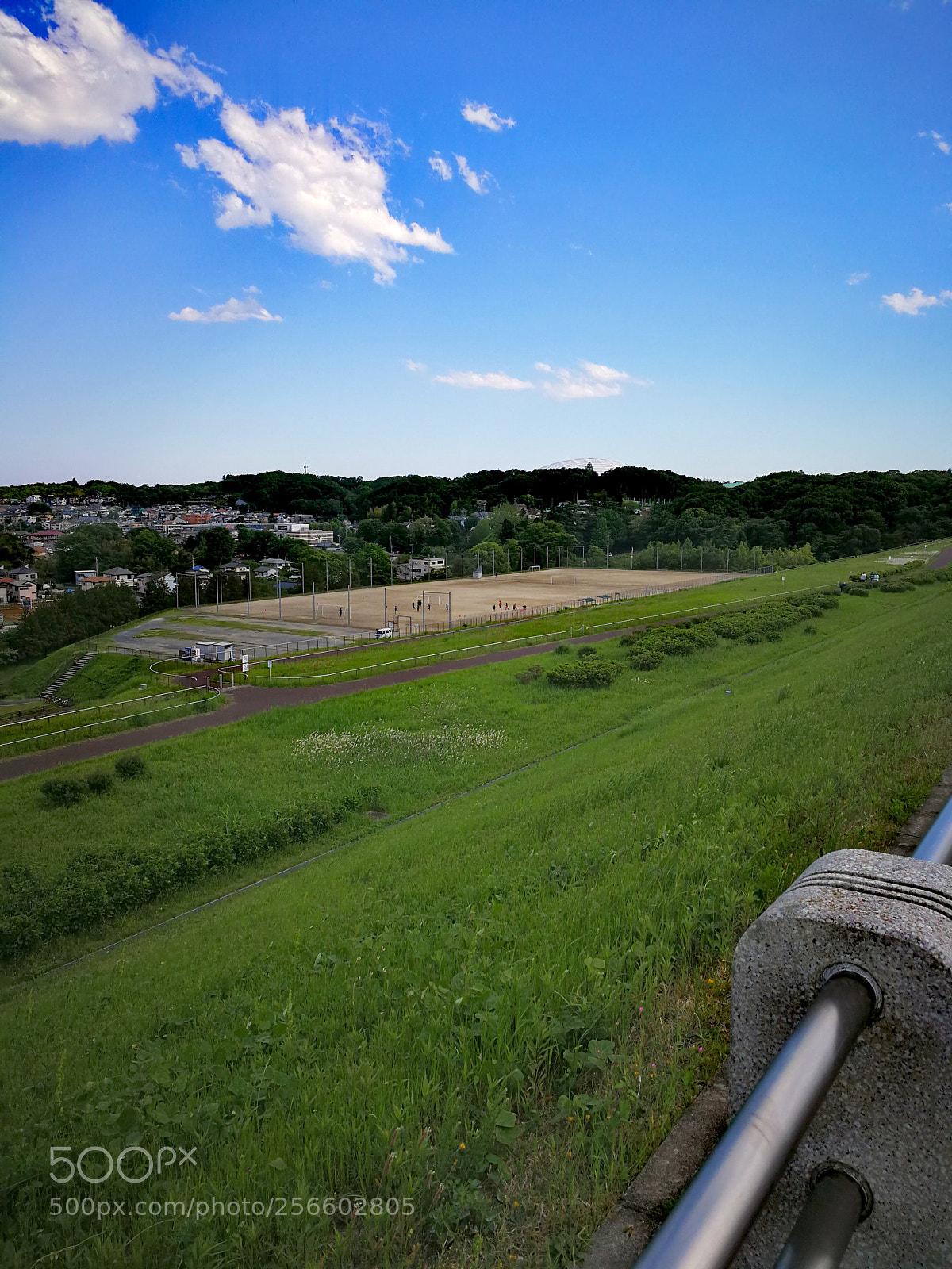 HUAWEI Mate 9 sample photo. 県立狭山自然公園 photography