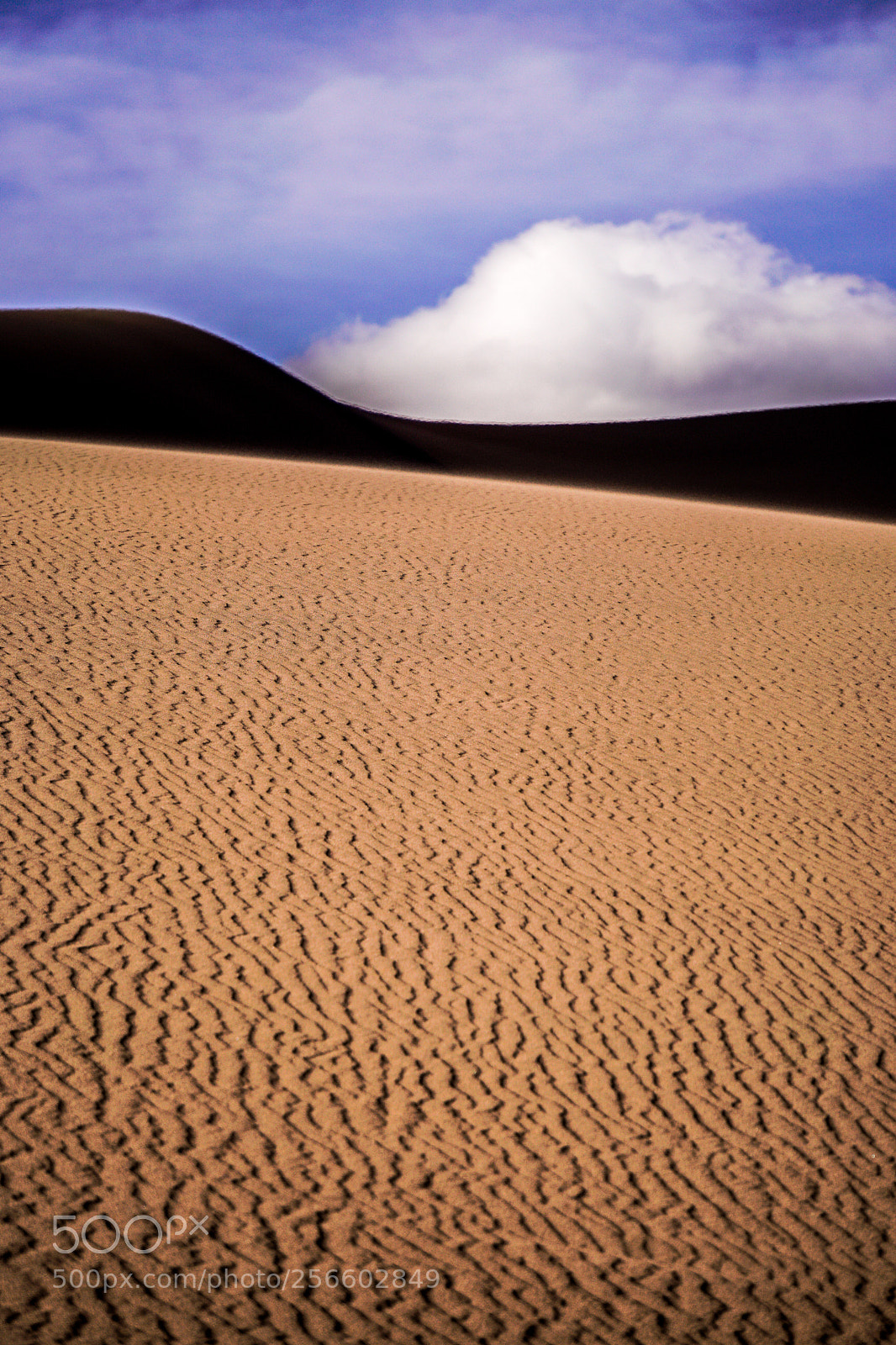 Sony a6500 sample photo. Dune and cloud photography