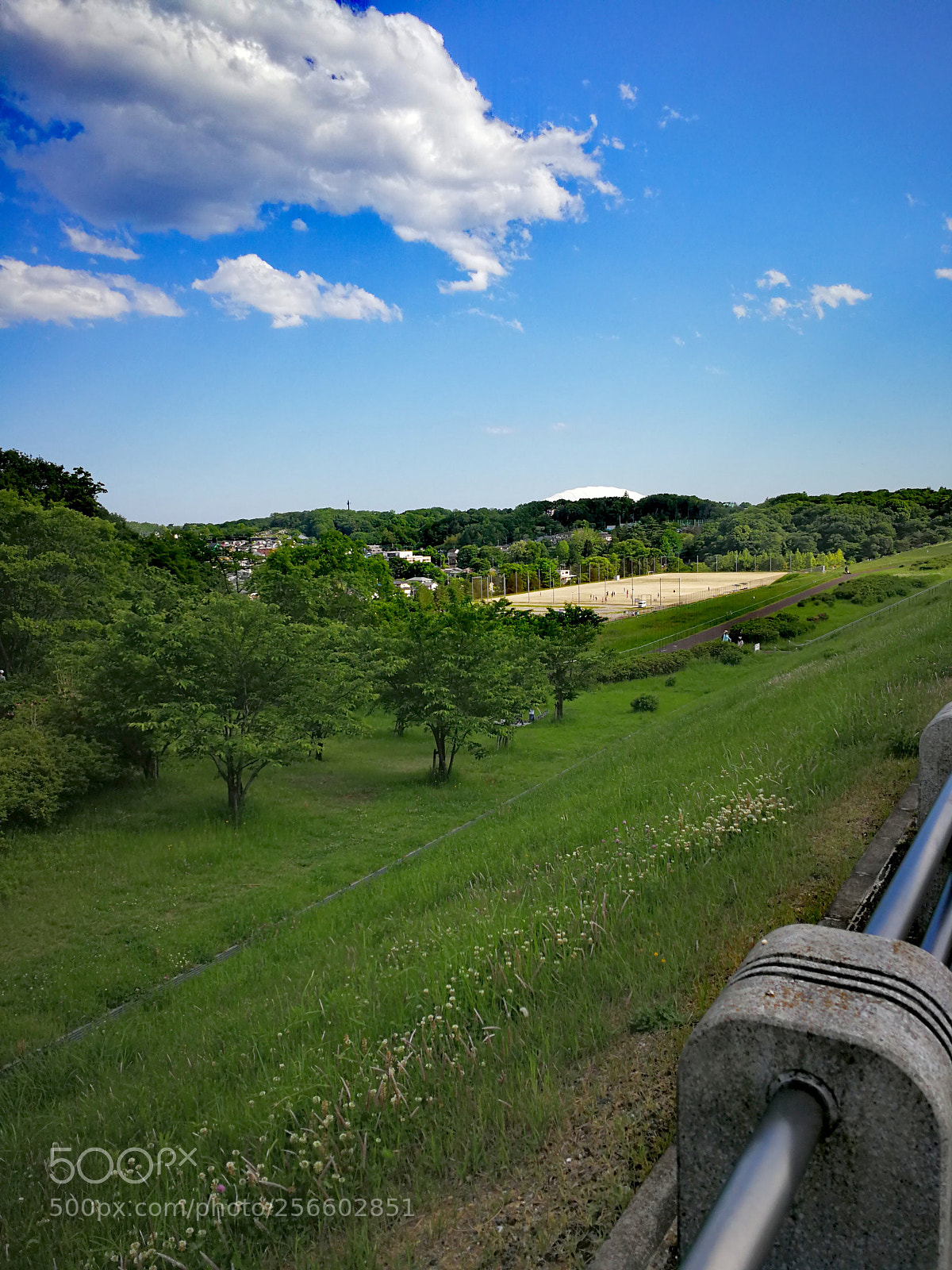 HUAWEI Mate 9 sample photo. 県立狭山自然公園 photography