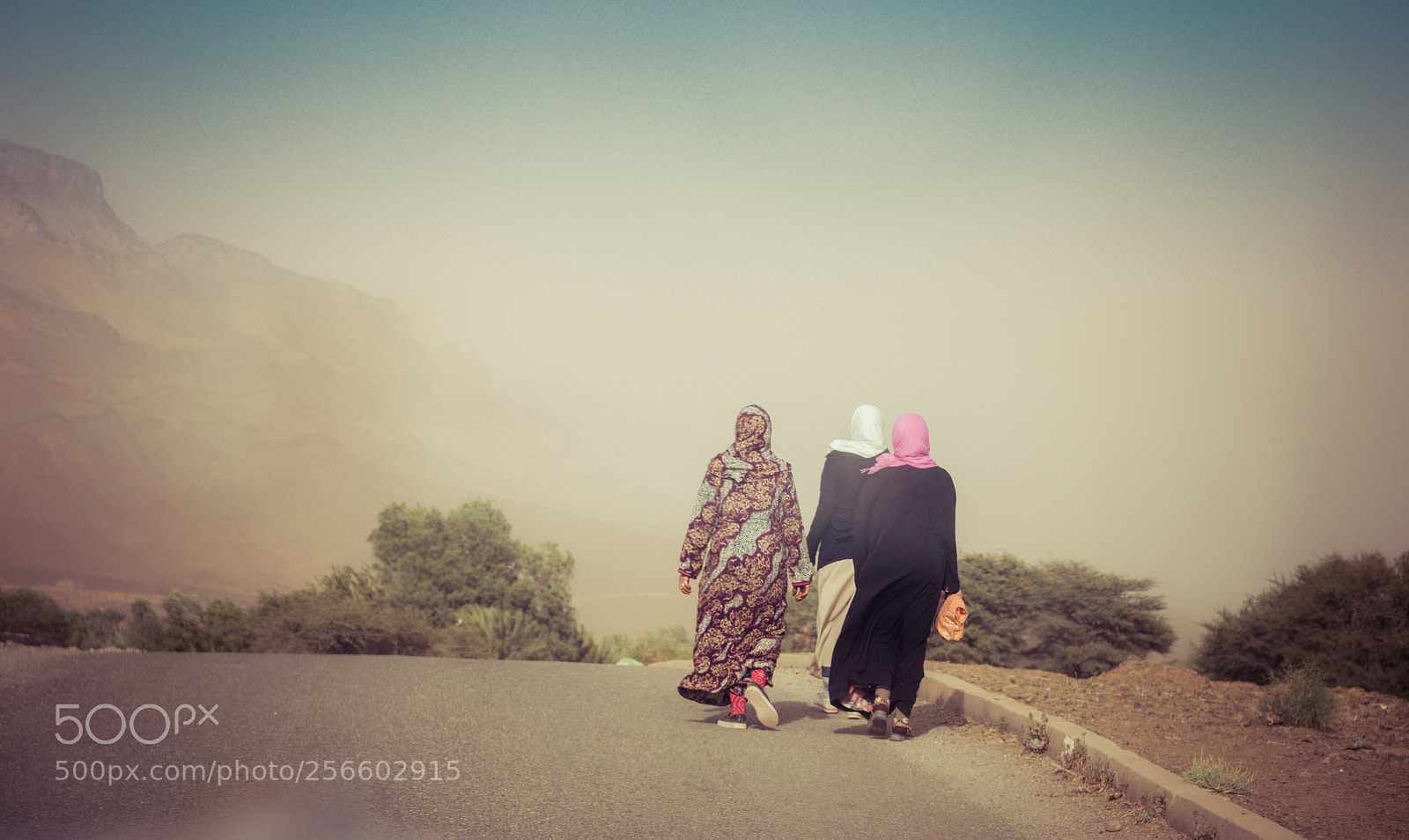Nikon D800 sample photo. Sand storm photography