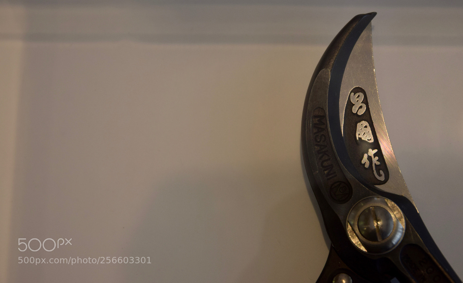 Nikon D3300 sample photo. ......enchanted by japanese design!! photography