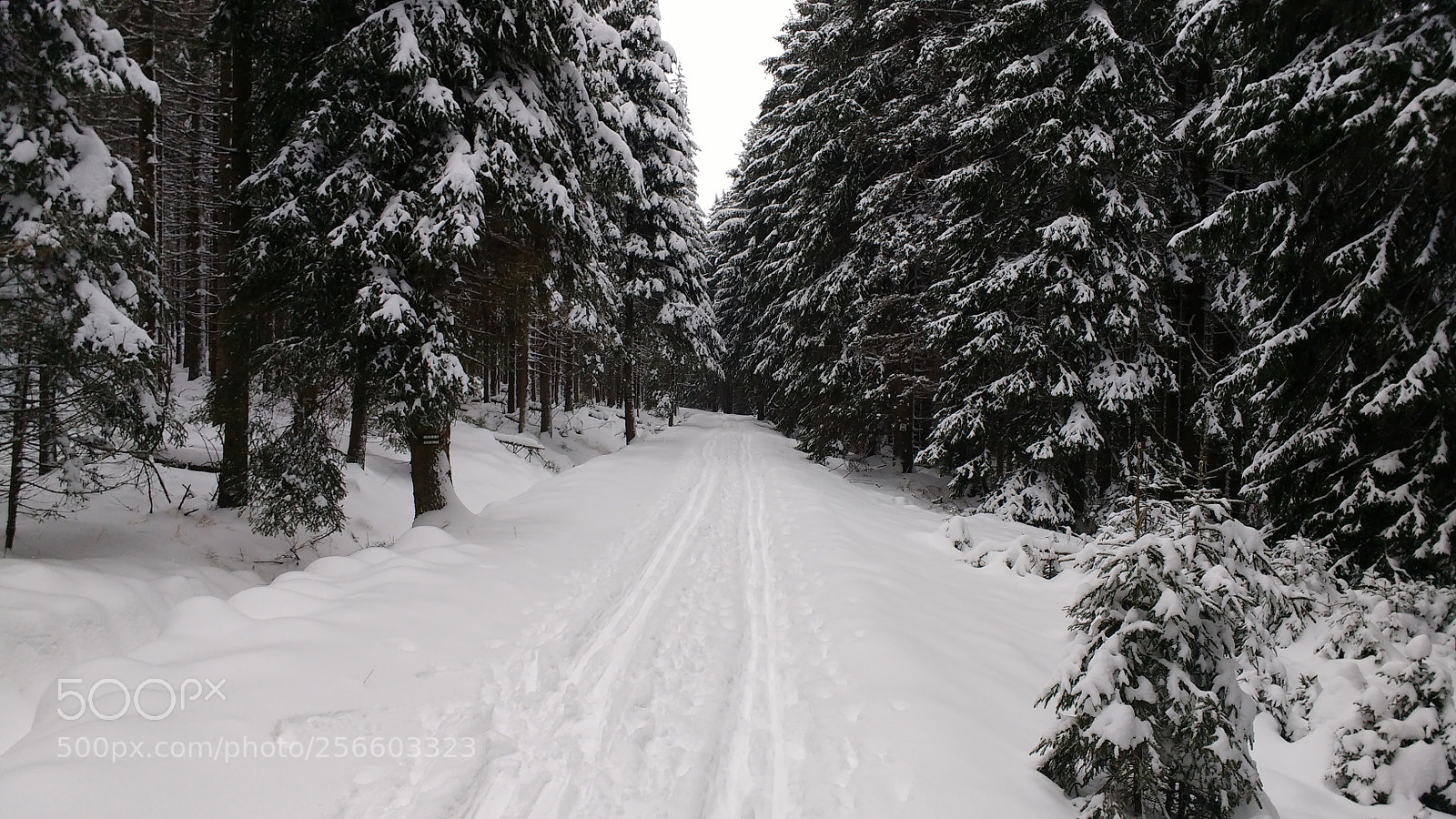 Motorola MotoG3 sample photo. Winter-trip-test photography