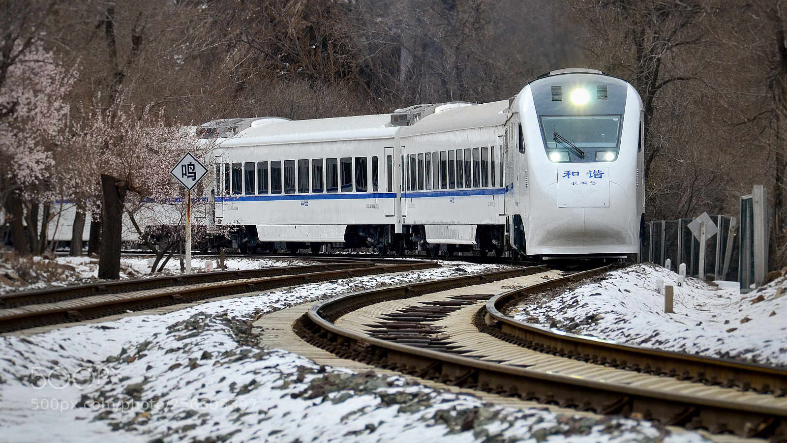 Nikon D7000 sample photo. The train in the photography