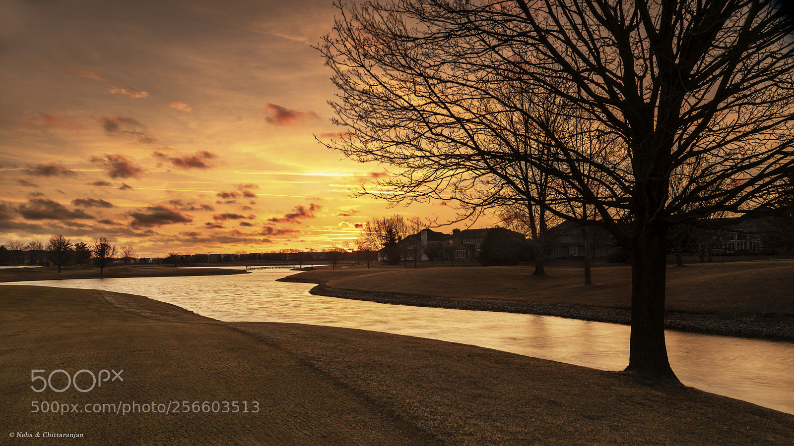 Sony a7R II sample photo. Bask by the brook photography