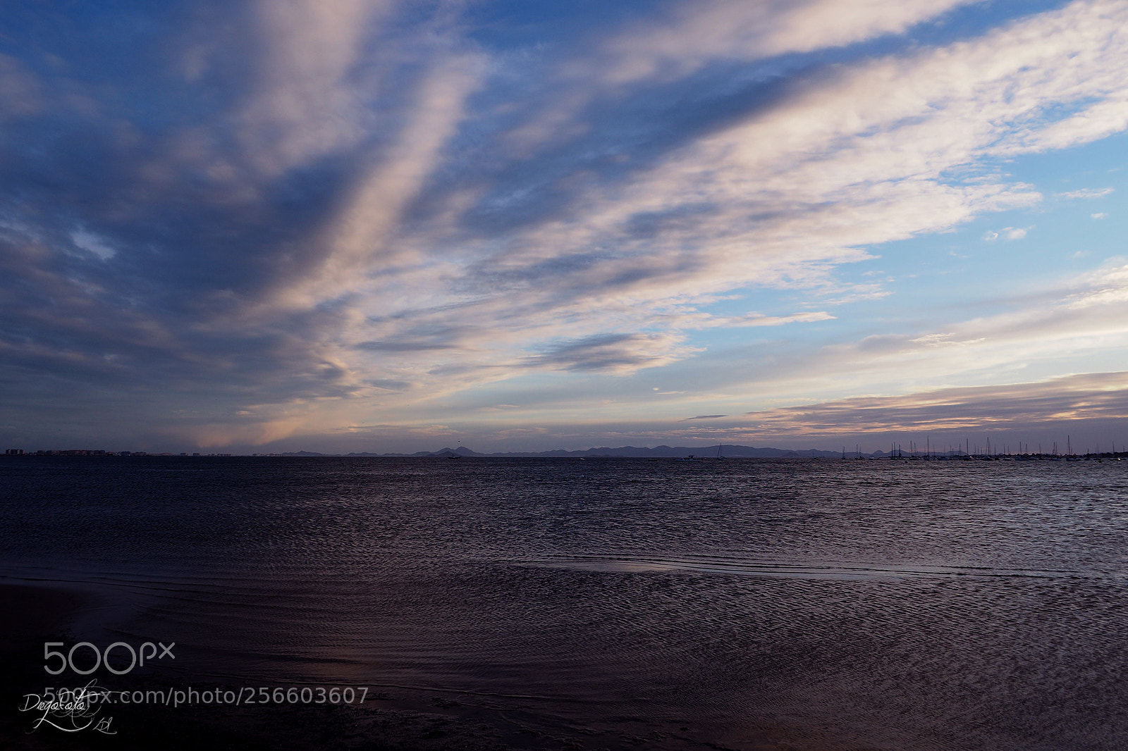 Olympus OM-D E-M10 II sample photo. San pedro del pinatar photography