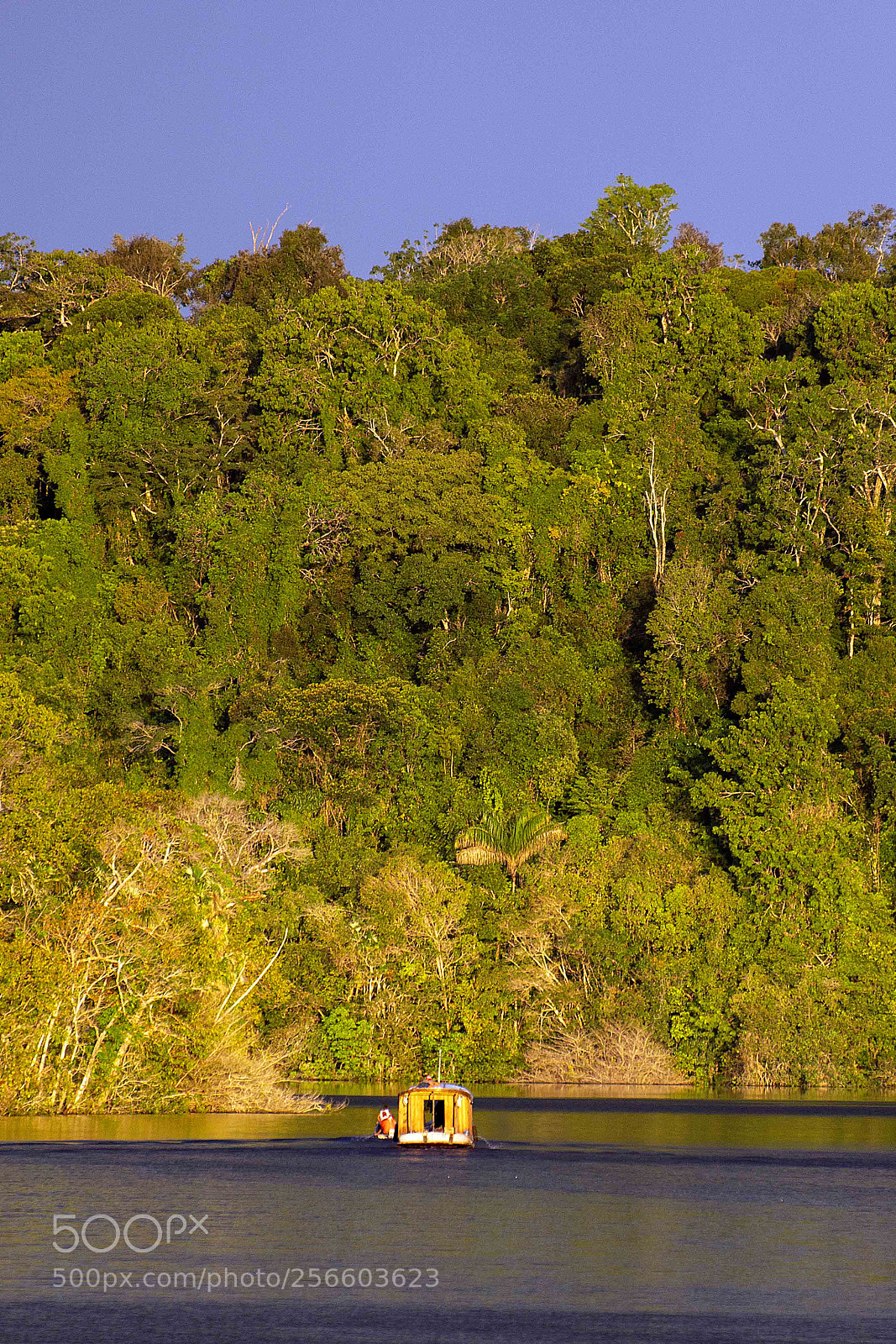 Nikon D7200 sample photo. Rio acara - reserva photography