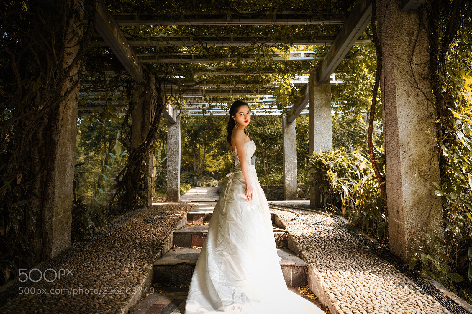 Fujifilm GFX 50S sample photo. Untitled photography