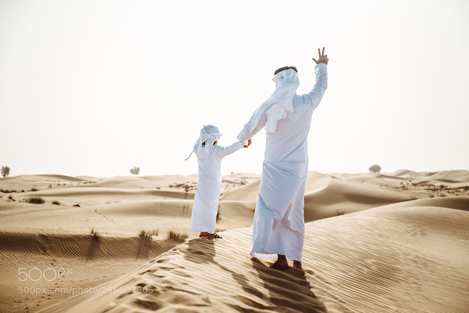 Nikon D610 sample photo. Father and son spending photography