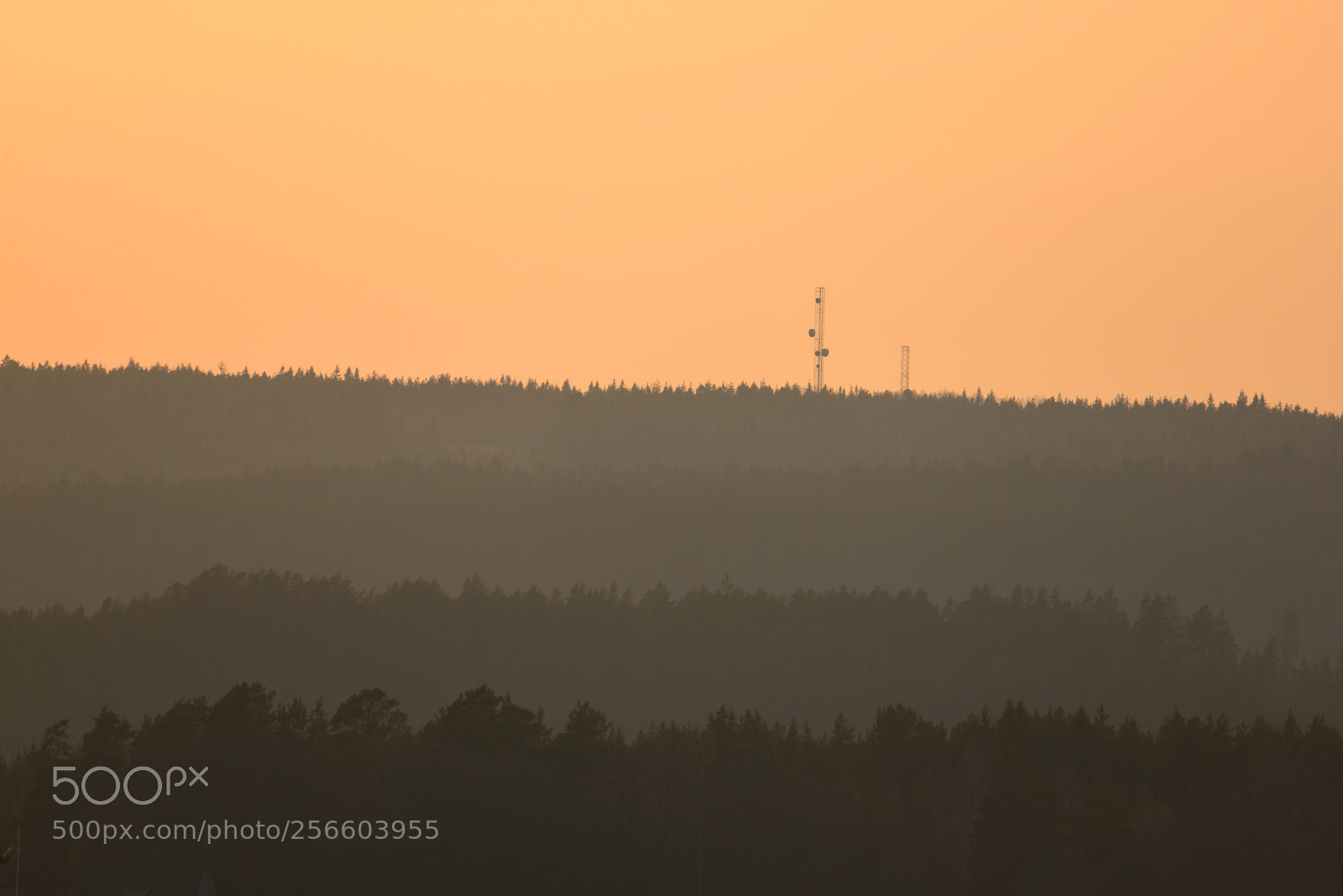 Nikon D610 sample photo. Mountains in sunset photography