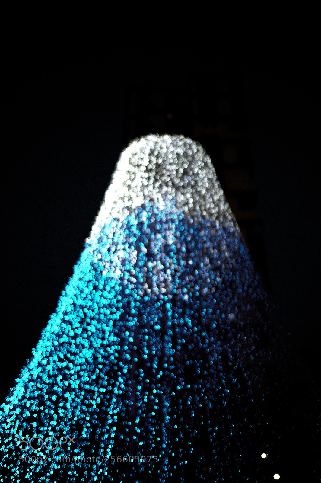 Fujifilm X-T2 sample photo. Bokeh fujisan photography