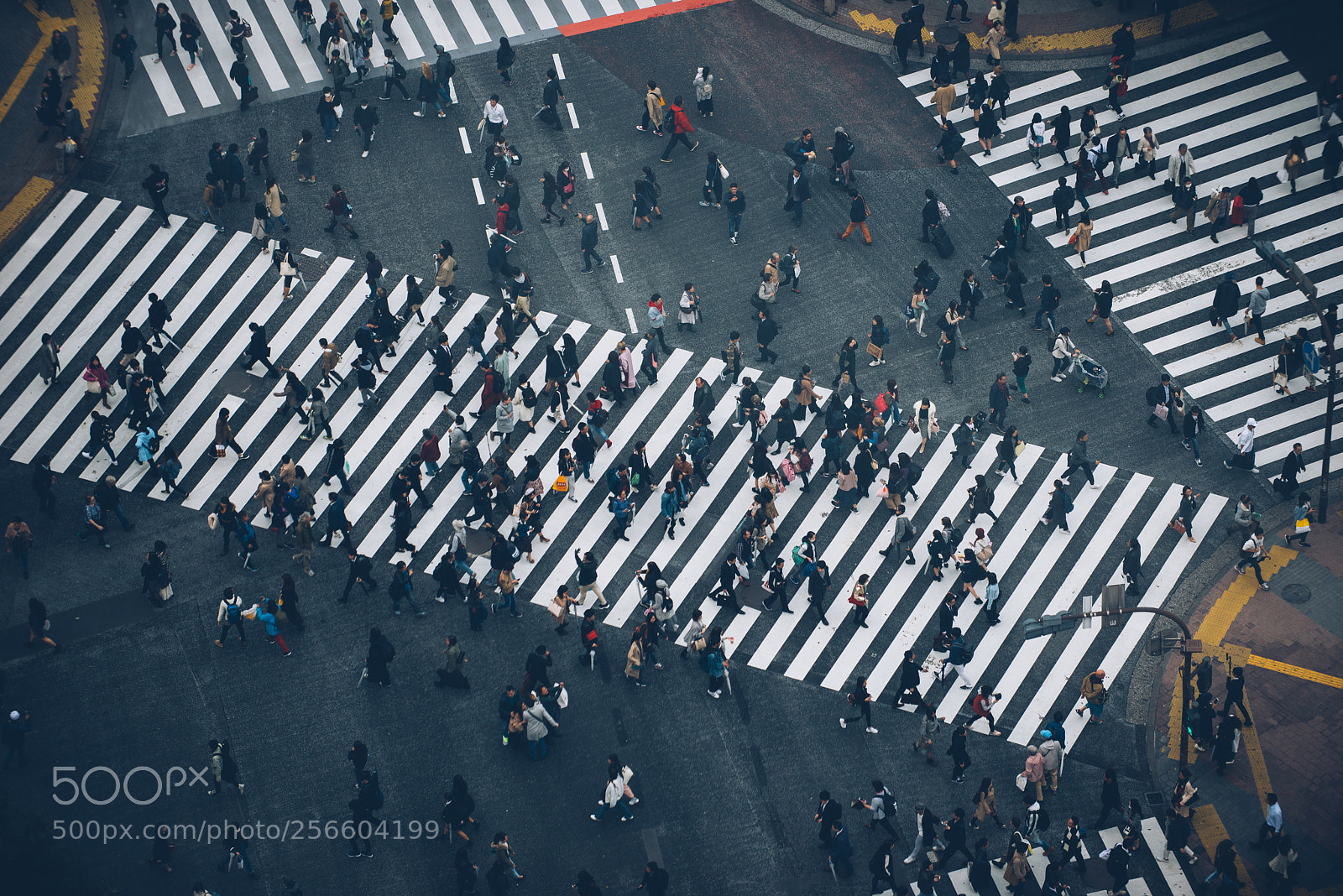 Nikon D610 sample photo. Mass of people crossing photography