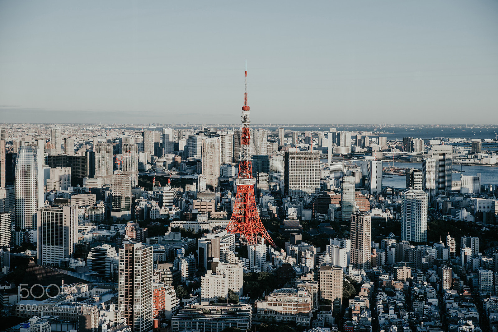 Nikon D610 sample photo. Tokyo skyline and buildings photography