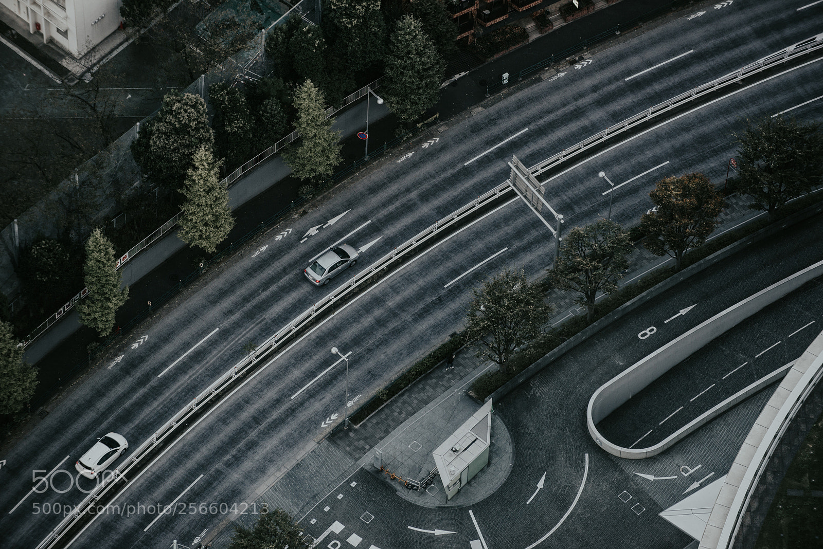 Nikon D610 sample photo. Street view from above photography