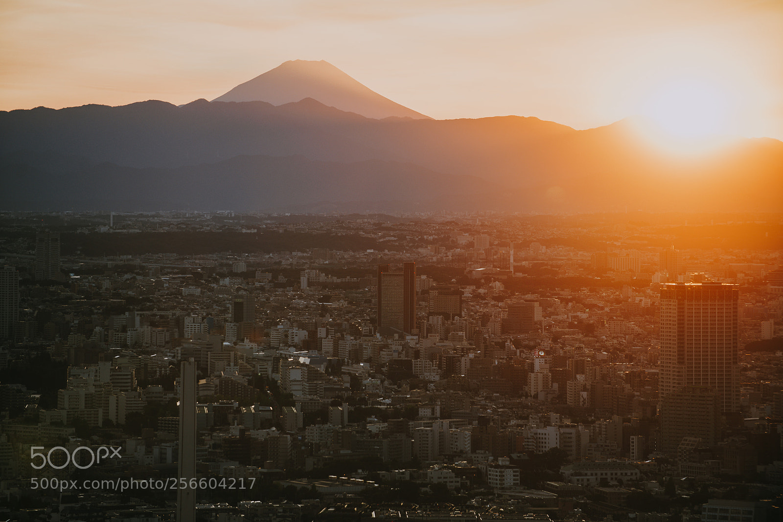 Nikon D610 sample photo. Tokyo skyline and buildings photography