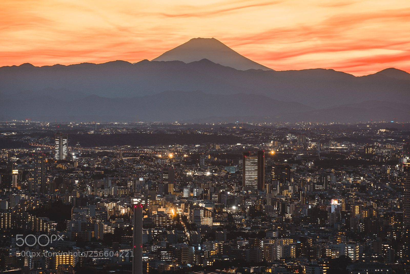 Nikon D610 sample photo. Tokyo skyline and buildings photography