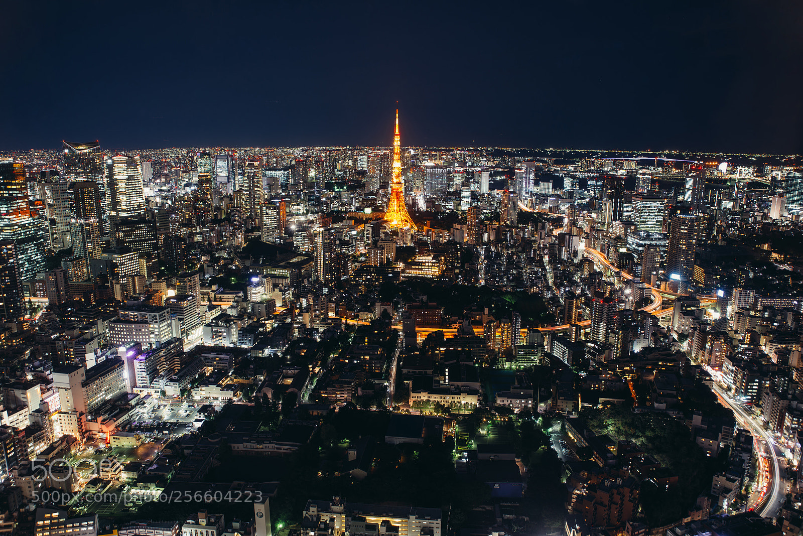 Nikon D610 sample photo. Tokyo skyline and buildings photography