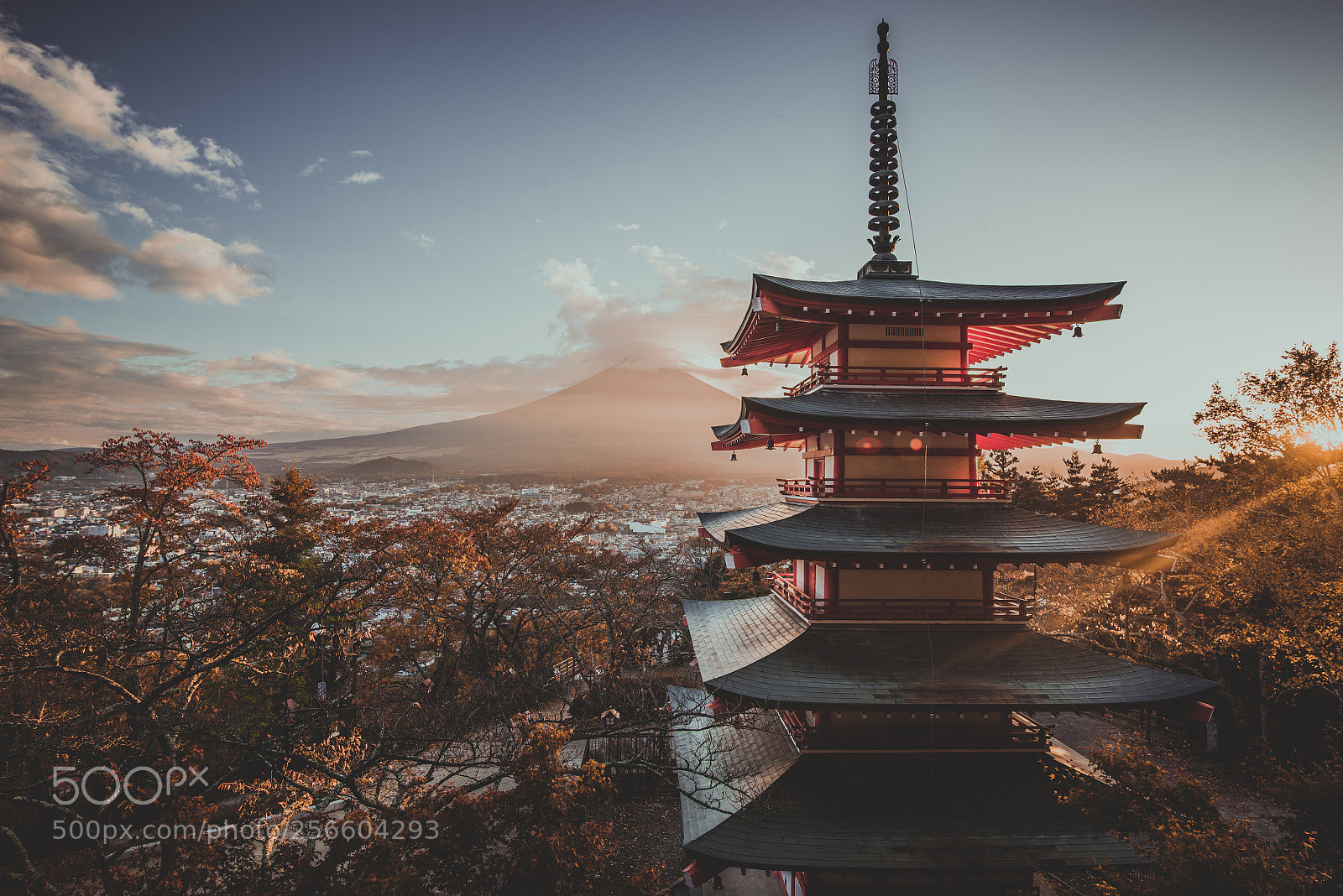 Nikon D610 sample photo. Chureito pagoda at fuji photography