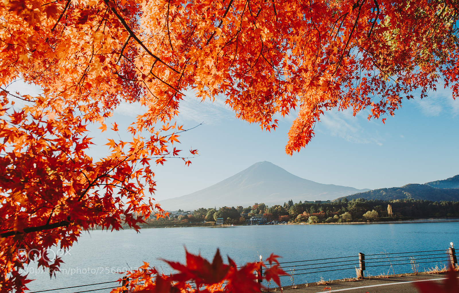 Nikon D610 sample photo. Fuji mountain view. the photography