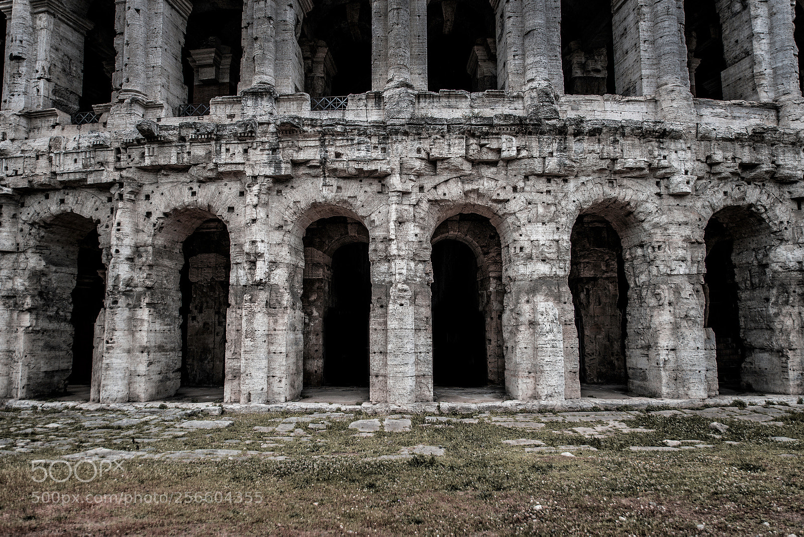 Nikon D610 sample photo. Grungy background photography