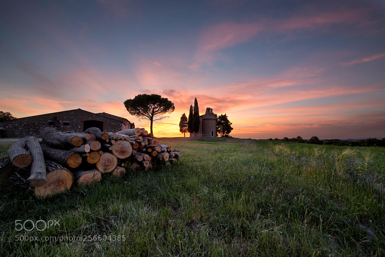 Nikon D610 sample photo. Beautiful tuscan landscape photography