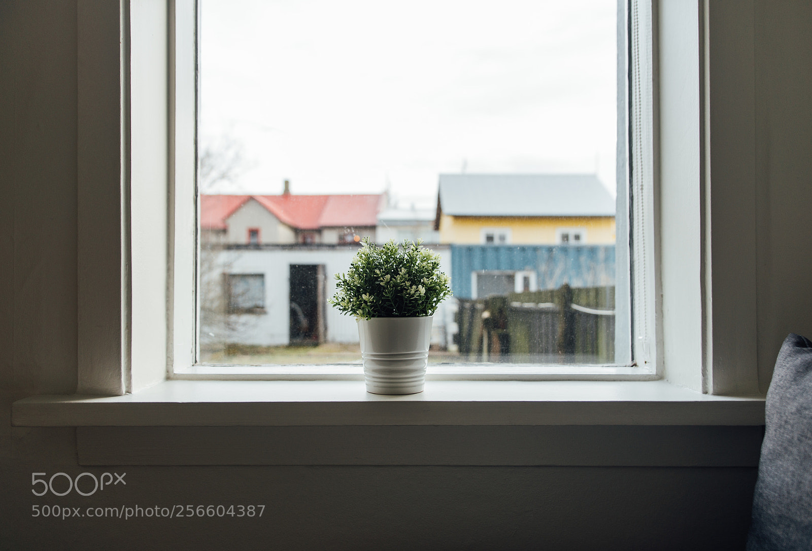 Nikon D610 sample photo. Icelandic details in front photography