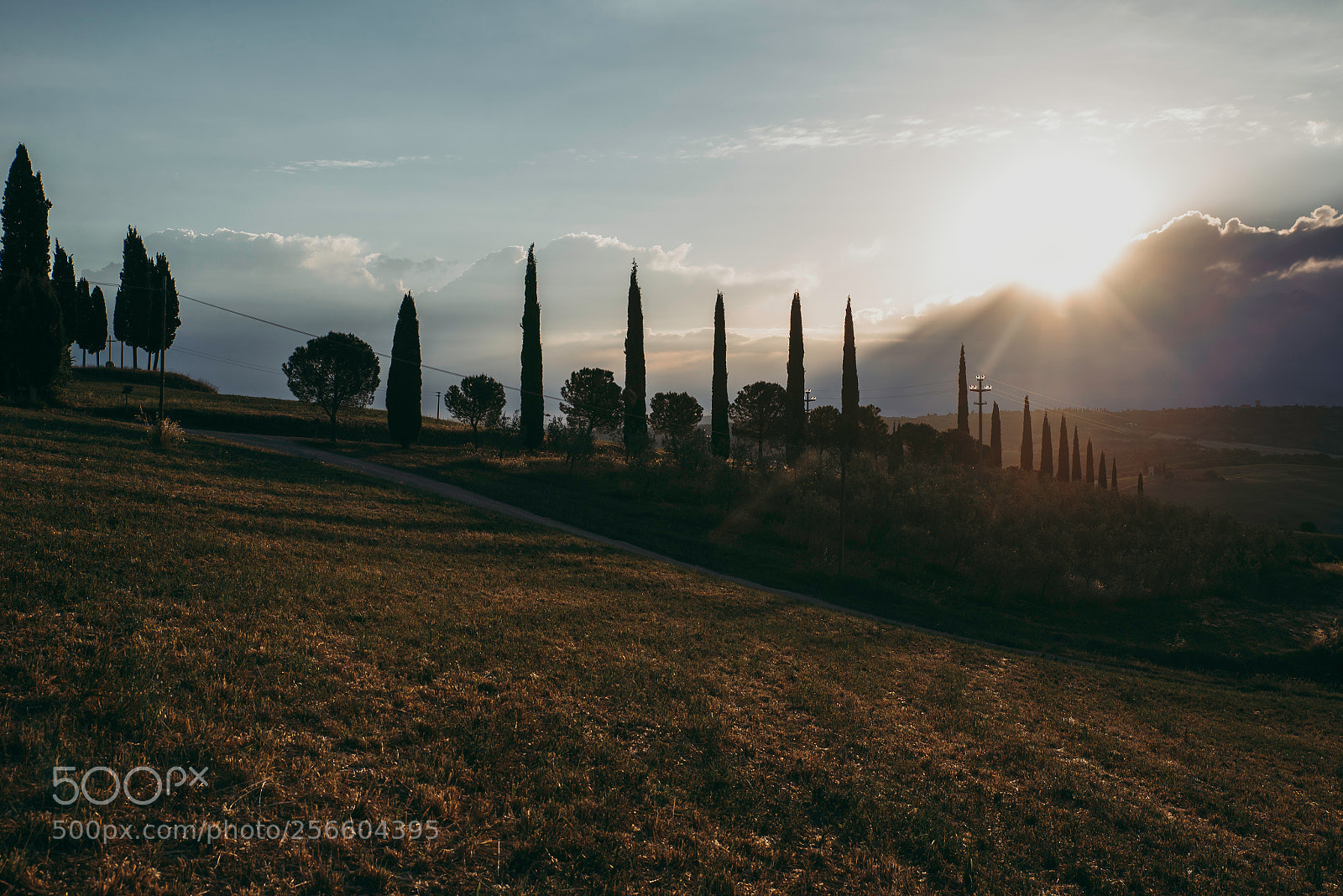 Nikon D610 sample photo. Beautiful tuscan landscape photography