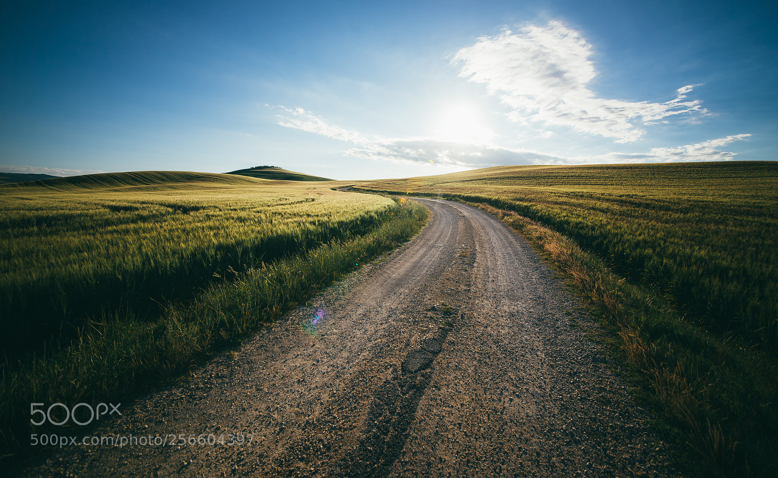 Nikon D610 sample photo. Beautiful tuscan landscape with photography