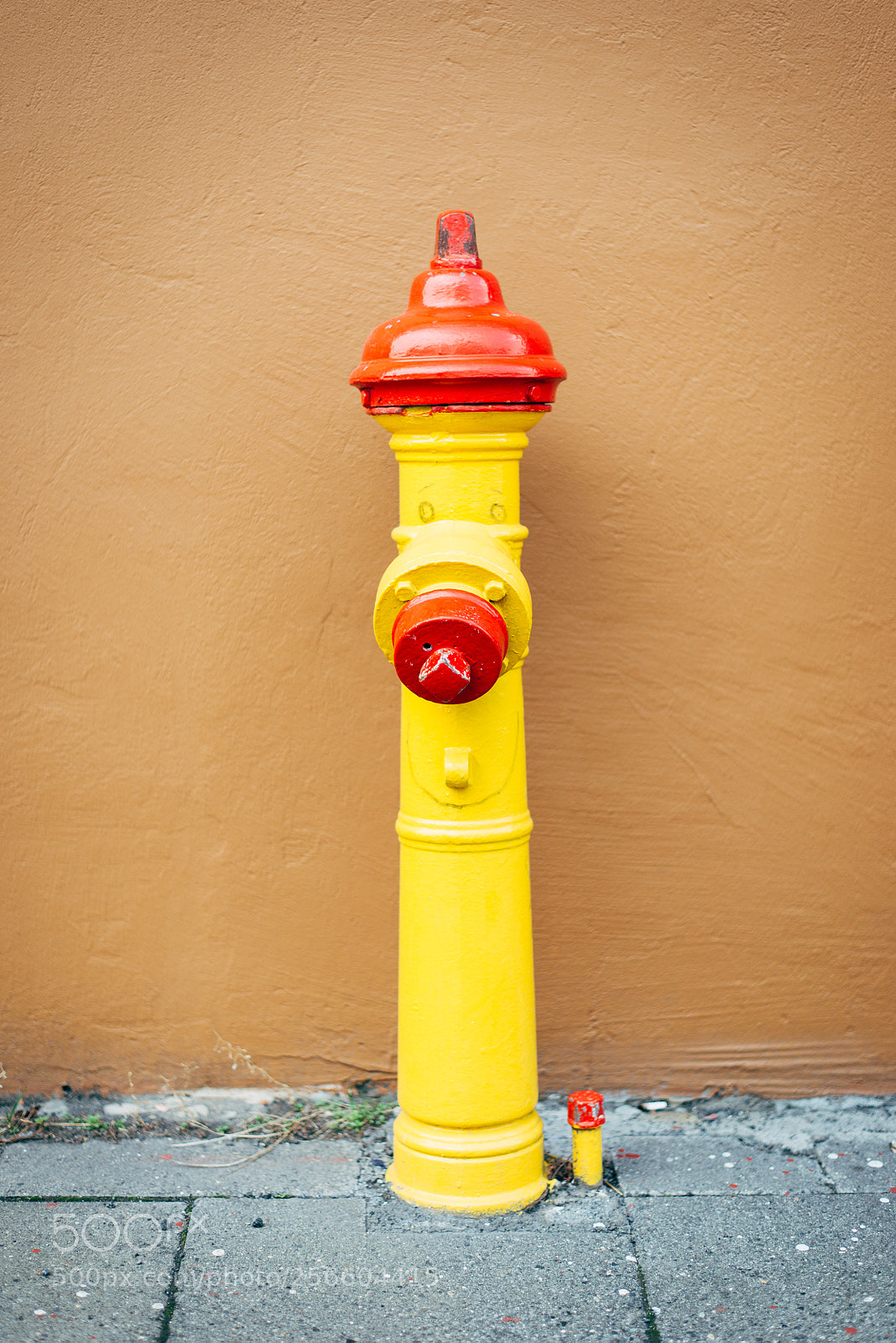 Nikon D610 sample photo. Water hydrant on the photography