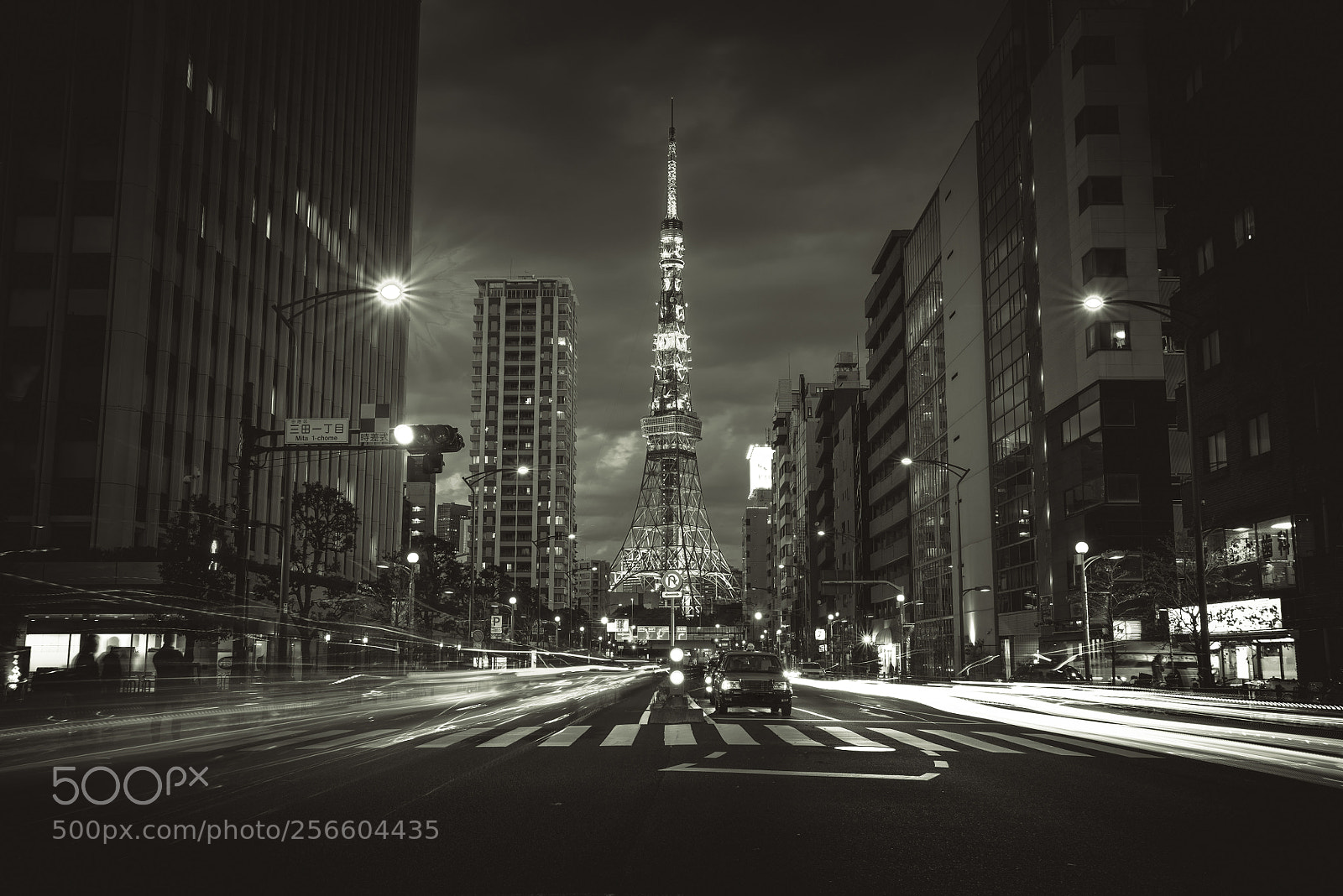 Nikon D610 sample photo. The tokyo tower in photography
