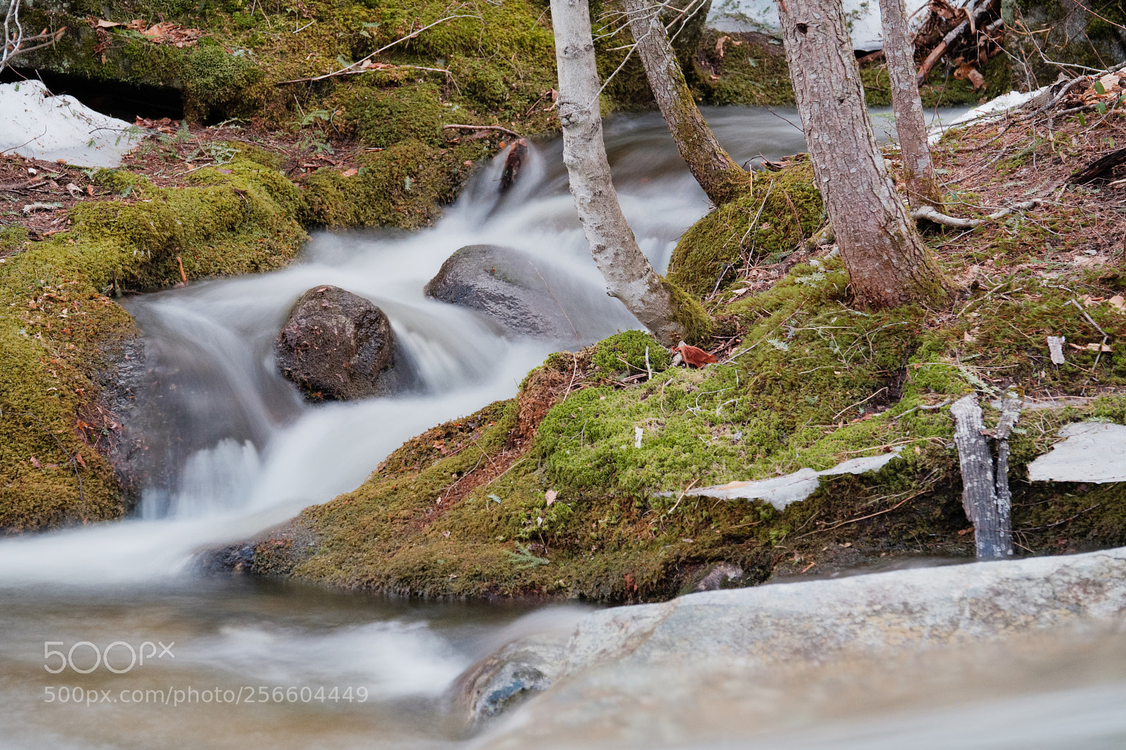 Fujifilm X-Pro2 sample photo. Bear river photography