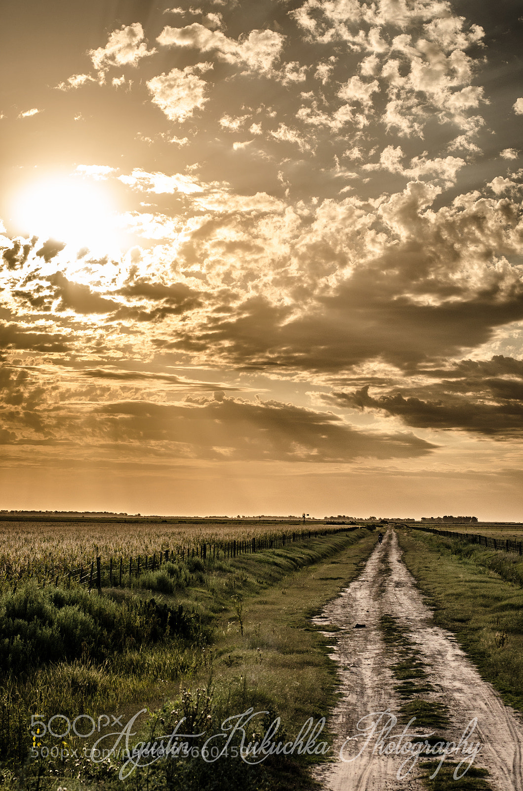 Nikon D5100 sample photo. Atardeceres del campo photography