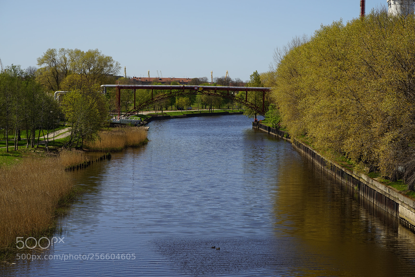 Sony a7R sample photo. Dsc photography