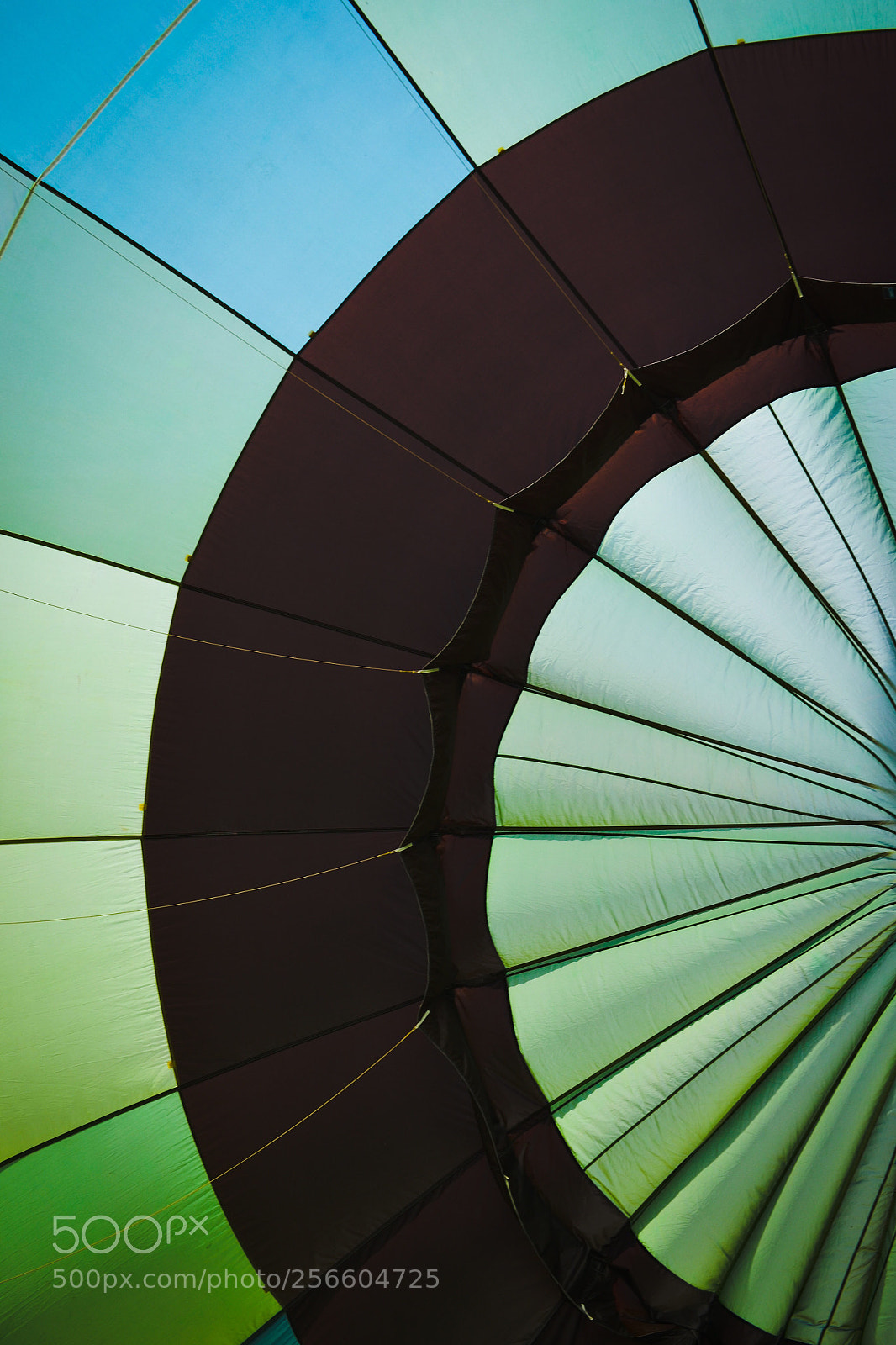 Nikon D3100 sample photo. Ballon photography