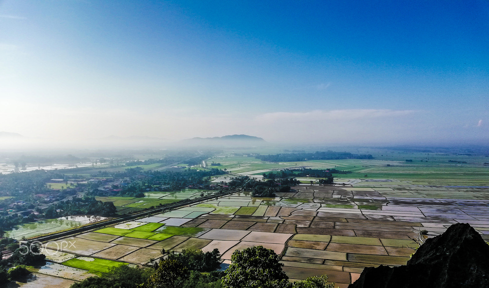 HUAWEI nova 2i sample photo. Paddy field photography