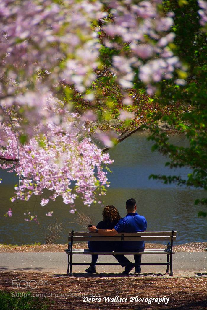 Nikon D7100 sample photo. A couple at the photography
