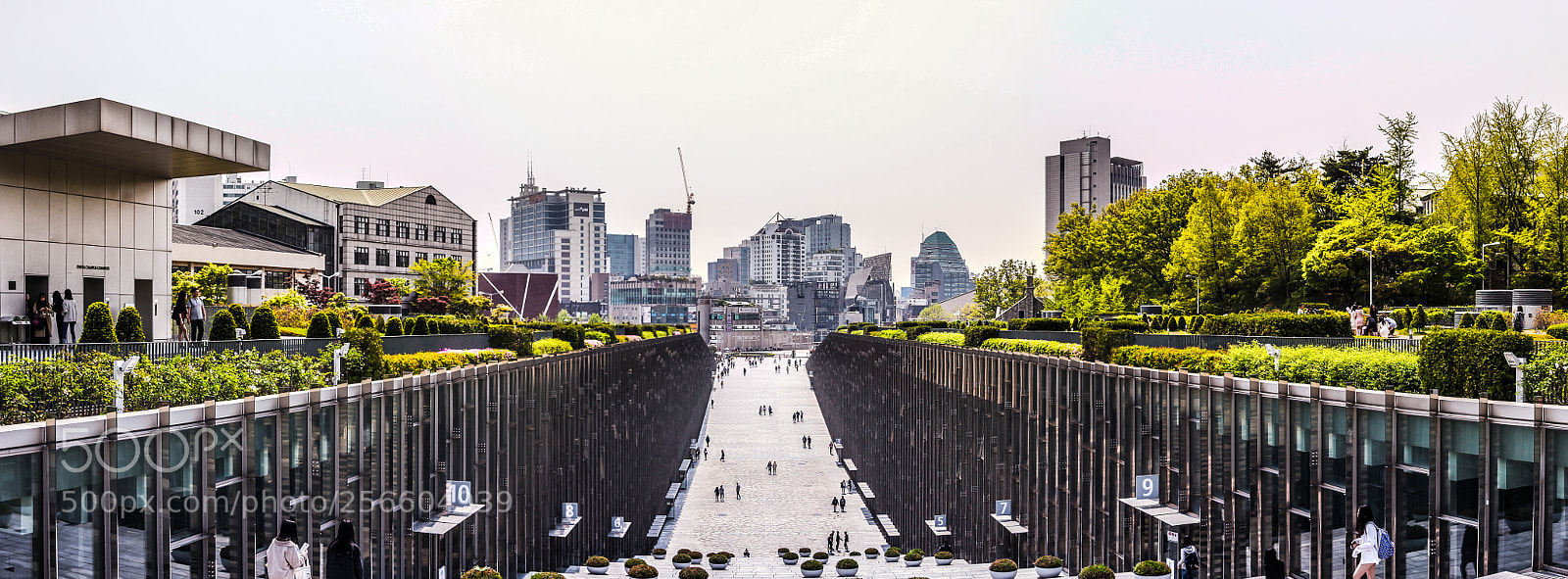 Canon EOS 5D Mark II sample photo. Ewha womans university is photography