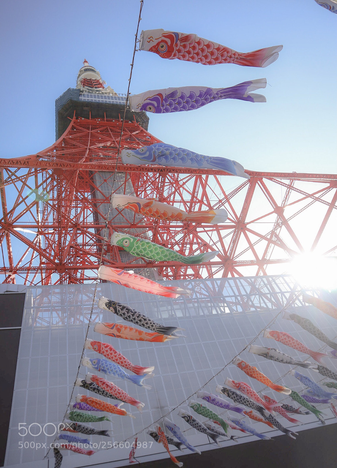 Canon EOS M5 sample photo. Tokyo tower  photography