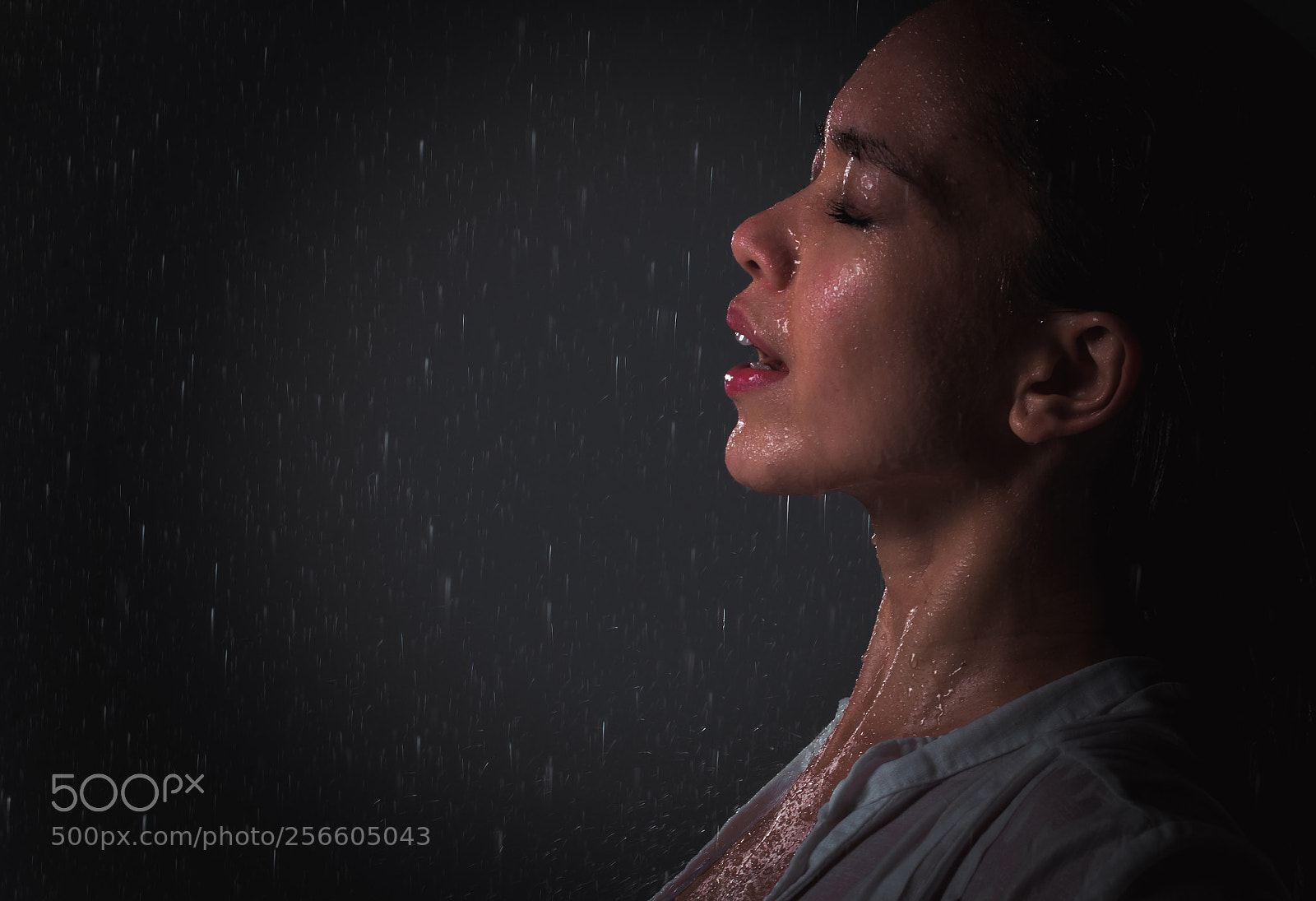 Nikon D610 sample photo. Woman feeling good and photography