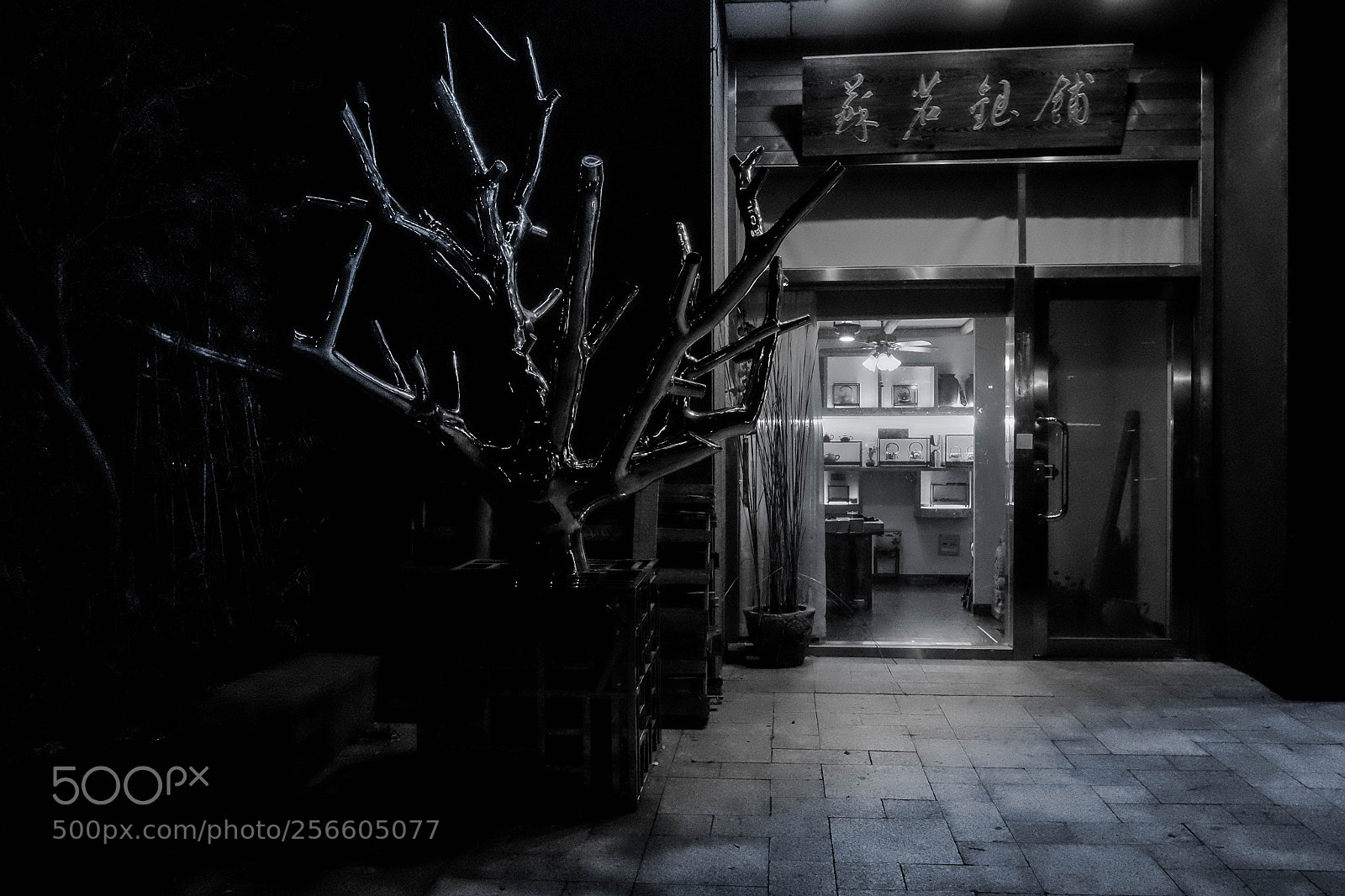 Fujifilm X-T10 sample photo. 2018 - jim timko photography