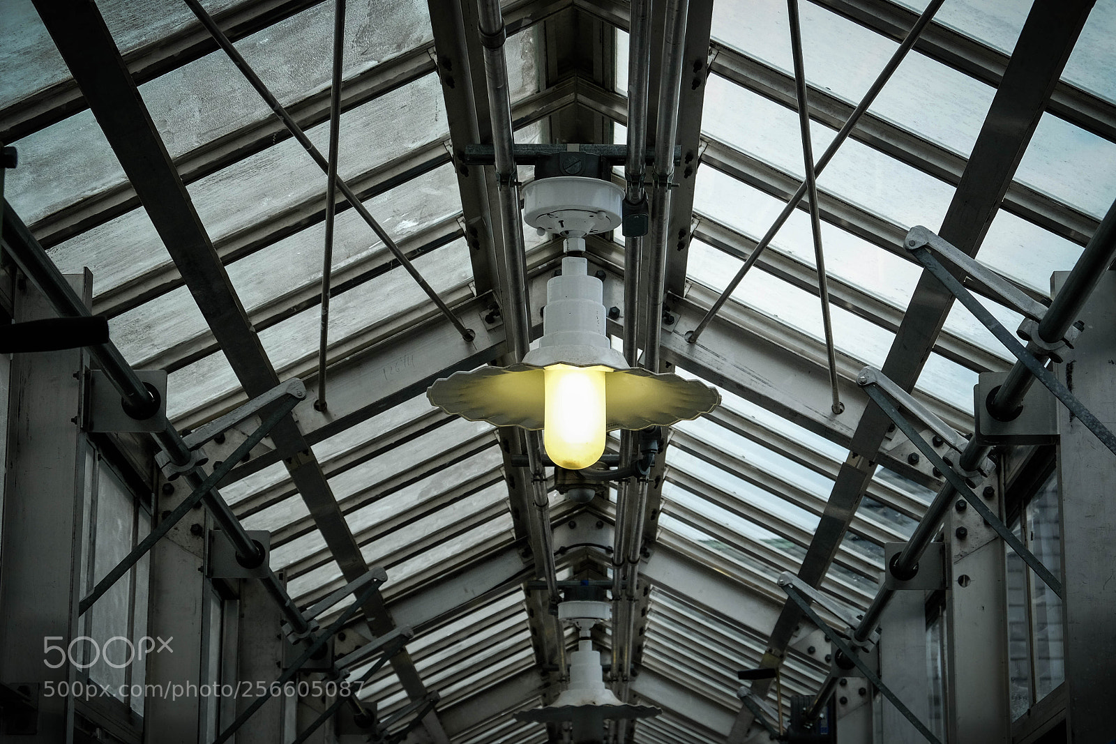 Fujifilm X-T10 sample photo. 2018 - jim timko photography