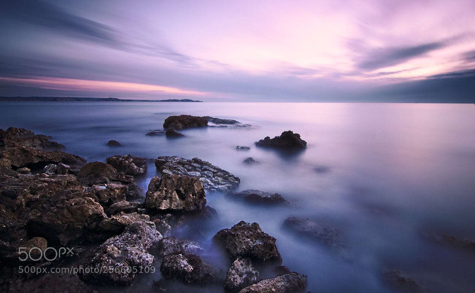 Nikon D90 sample photo. Purple feelings photography