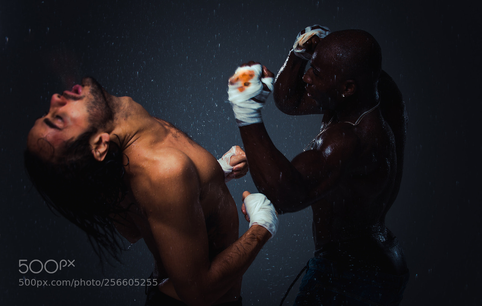 Nikon D610 sample photo. Street fight under the photography