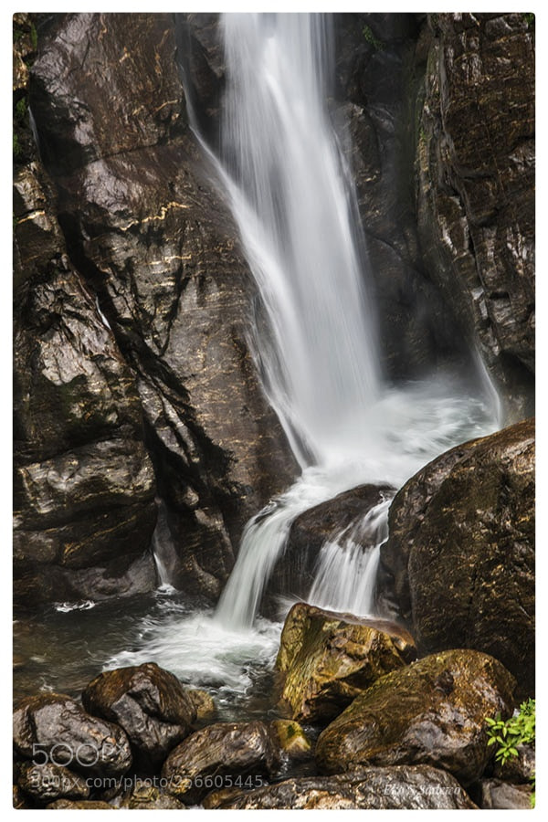 Nikon D850 sample photo. Danal fall photography