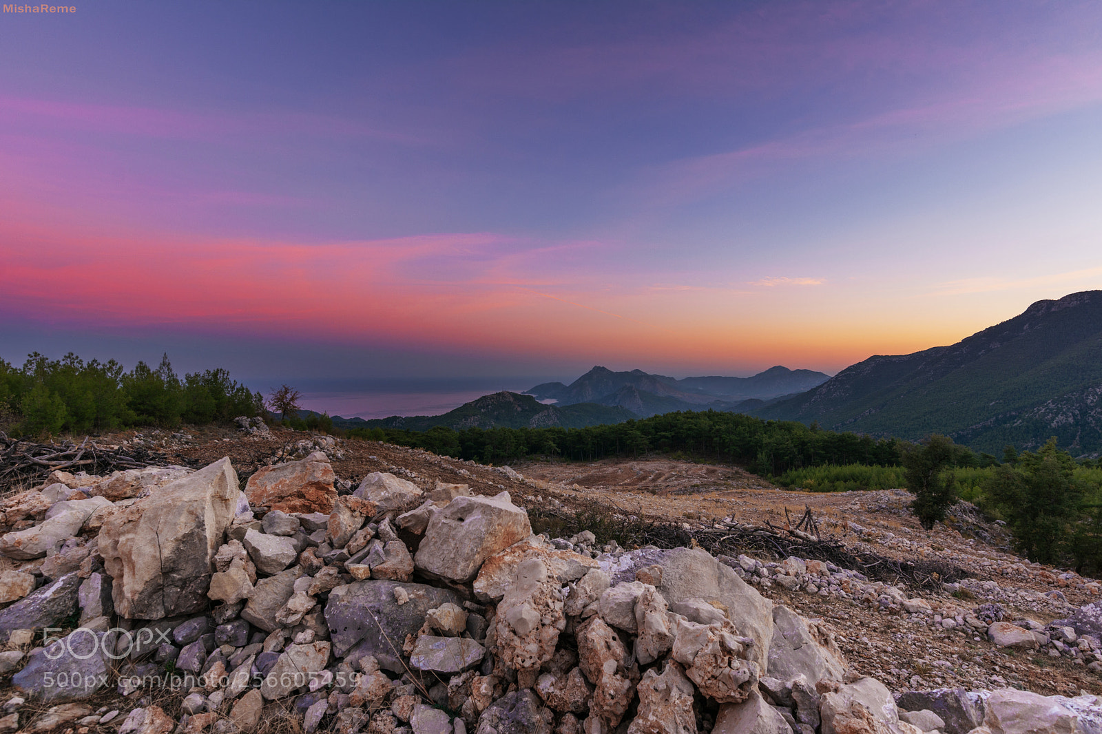 Nikon D7100 sample photo. Evening time photography